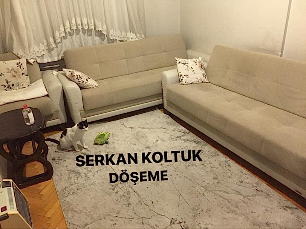 Kayseri Kanepe Yüzü Yenileme 2023